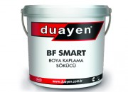 BF SMART - Boya Kaplama Sökücü (Tarihi Eser Yapılar İçin)