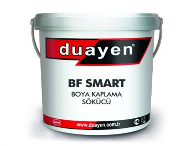 BF SMART - Paint Coating Remover (For Historical Buildings)